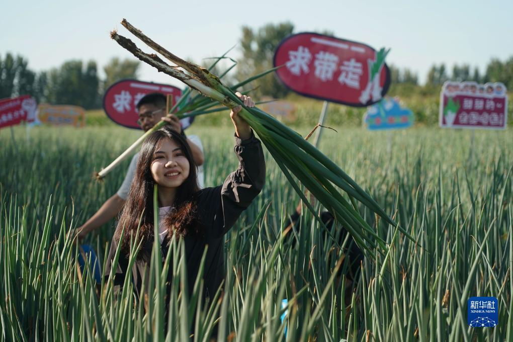 下载送礼金